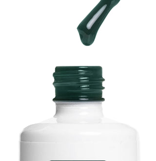 Iguana - Color Gel 15ml AMERICAN CREATOR