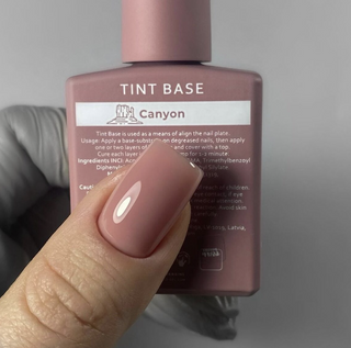 ARIZONA - COLLECTION SET (8st x 15 ml) Tint Base + Aufkleber Stickers für tips HEYLOVE