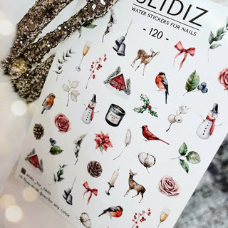120 - SLIDIZ